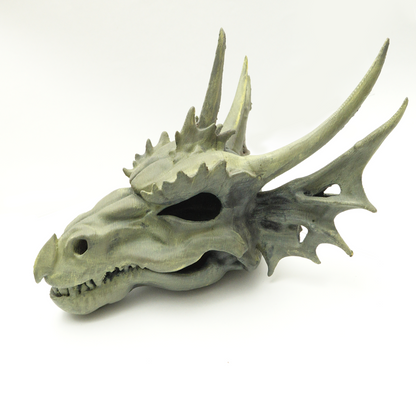 Calavera de Dragon