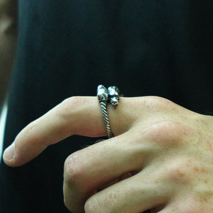 Anillo Sköll y Hati