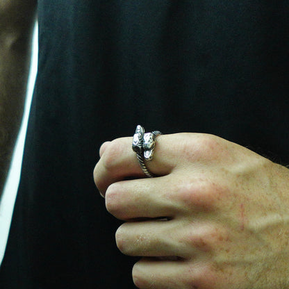 Anillo Sköll y Hati