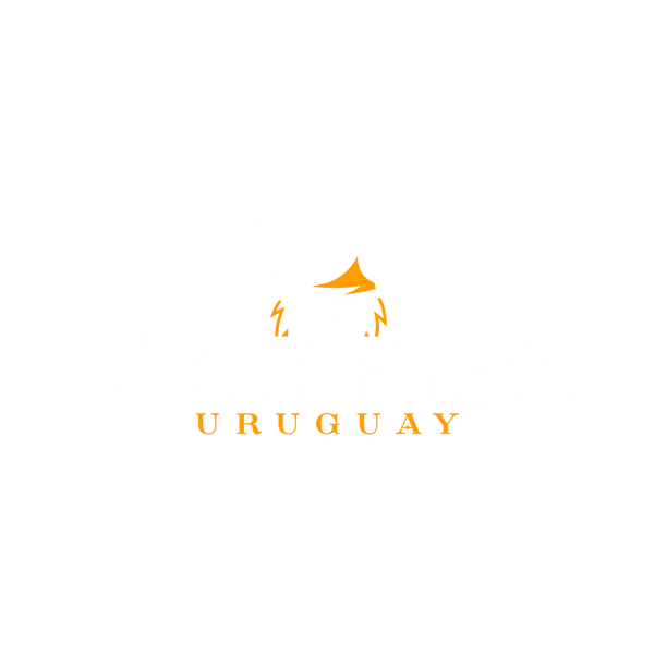 Vikingos UY